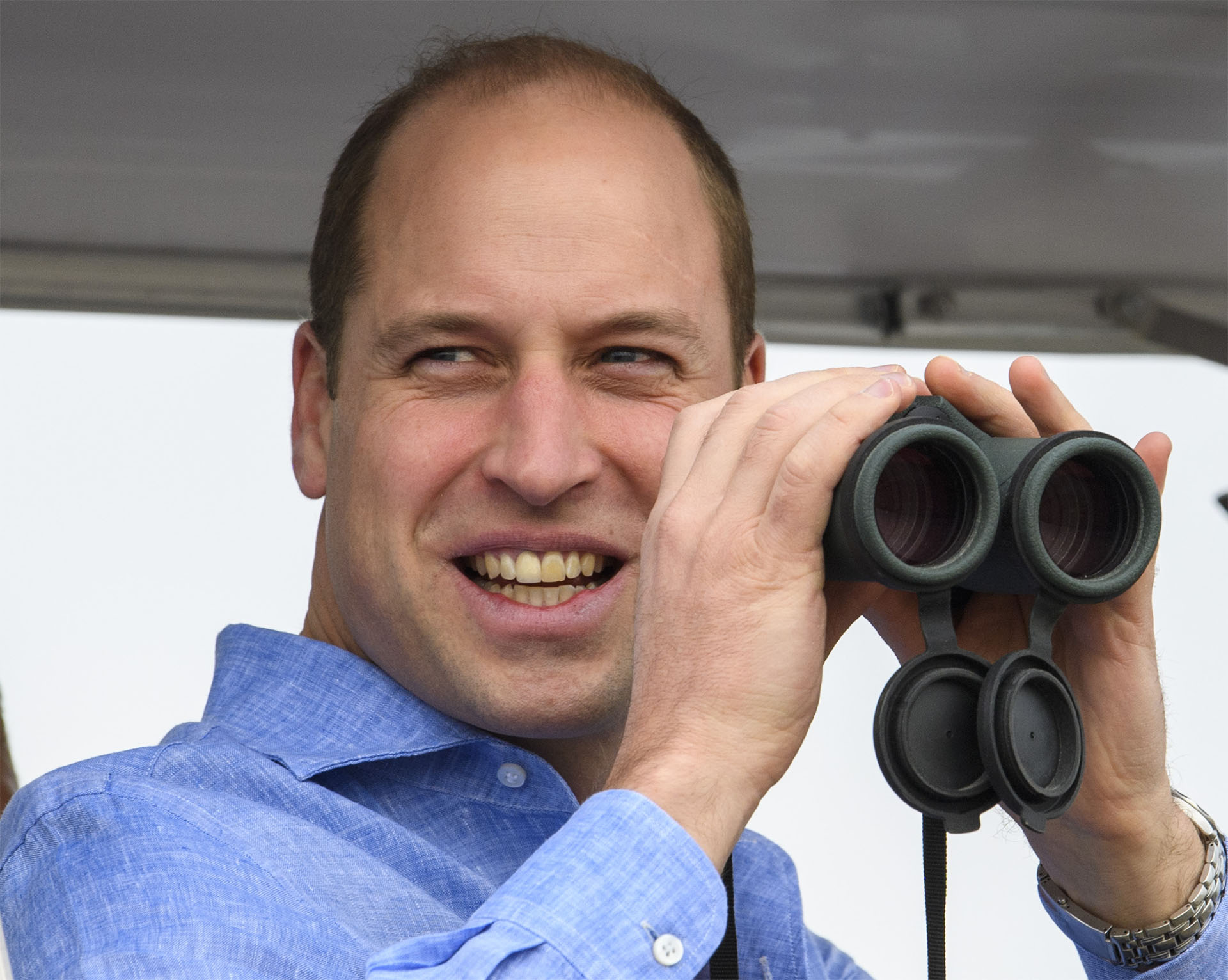 Prince William In New Wildlife Documentary My Weekly