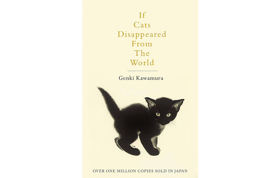 if cats disappeared from the world genki kawamura