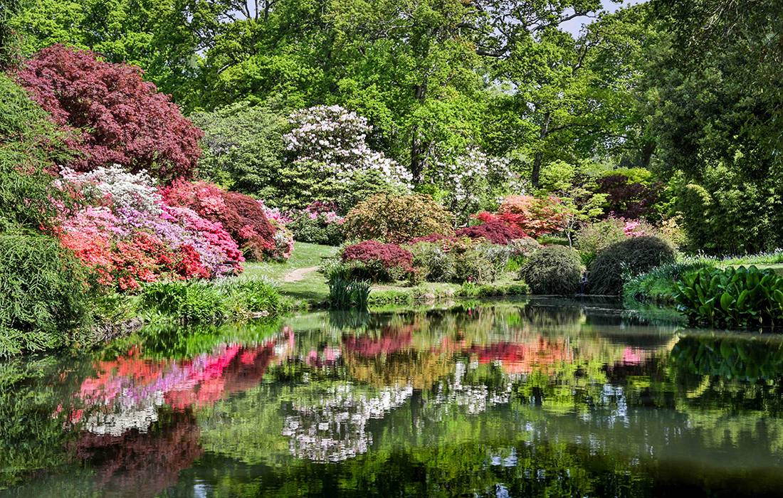 Take A Virtual Tour of Exbury Gardens - My Weekly