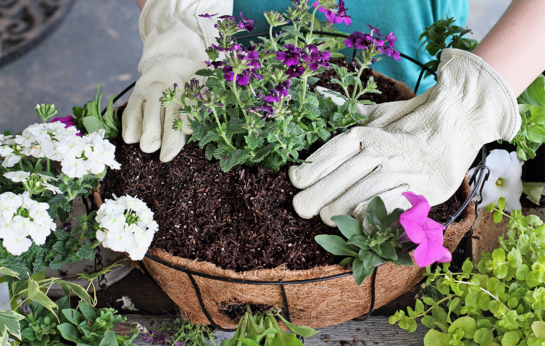 How to Create Beautiful Hanging Baskets - My Weekly